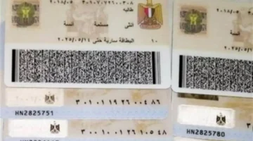 بطاقة الرقم القومي للمغتربين.. استخراج بدل فاقد في ساعة واحدة فقط